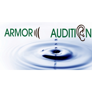 ARMOR AUDITION